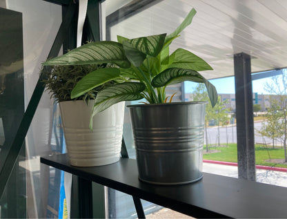 Small Polycarbonate Greenhouse | Exaco RIGA s